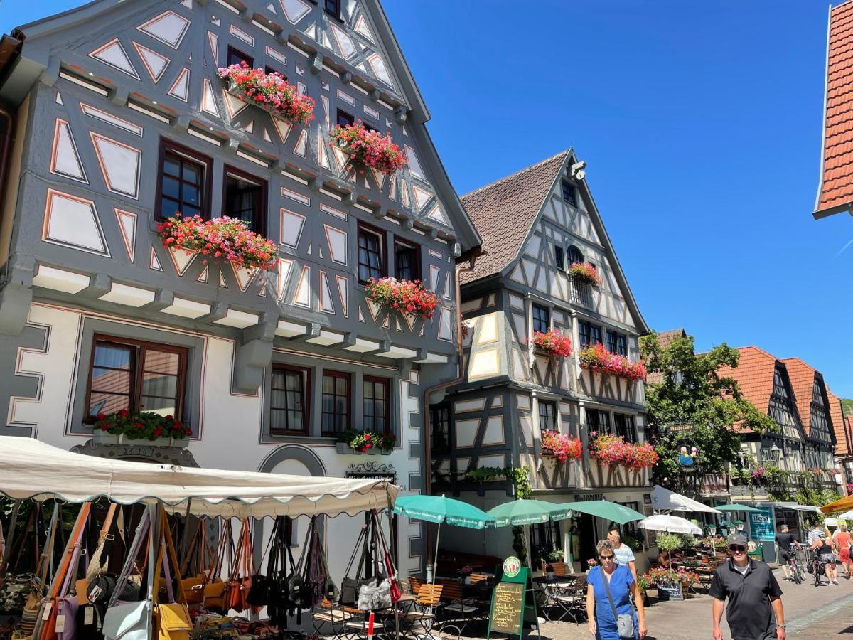 Gaestehaus Klingler Besigheim Dış mekan fotoğraf