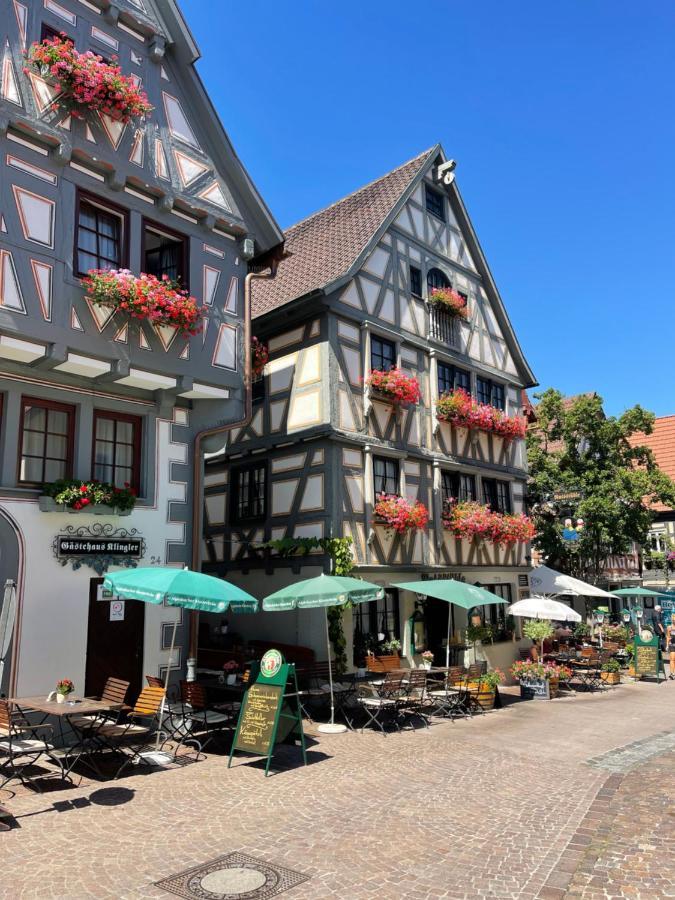 Gaestehaus Klingler Besigheim Dış mekan fotoğraf